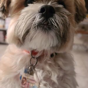 Meet your Posher, Patricia